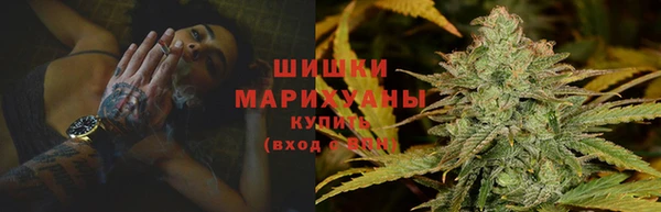 PSILOCYBIN Алзамай