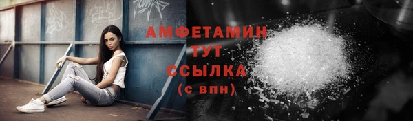 PSILOCYBIN Алзамай