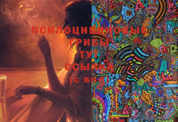 PSILOCYBIN Алзамай