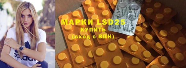 PSILOCYBIN Алзамай