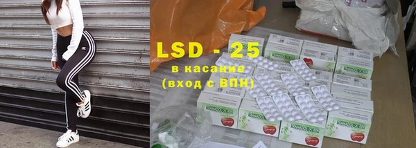 PSILOCYBIN Алзамай